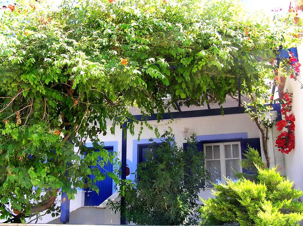 Koralli Studios Korissia  Exterior foto